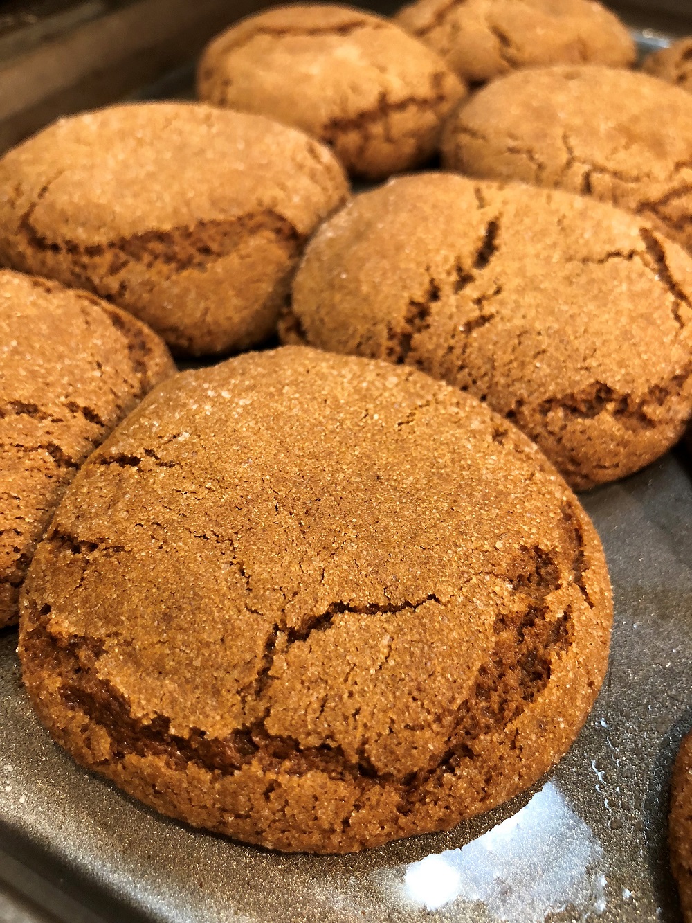 gluten-free-gingersnaps-the-gluten-free